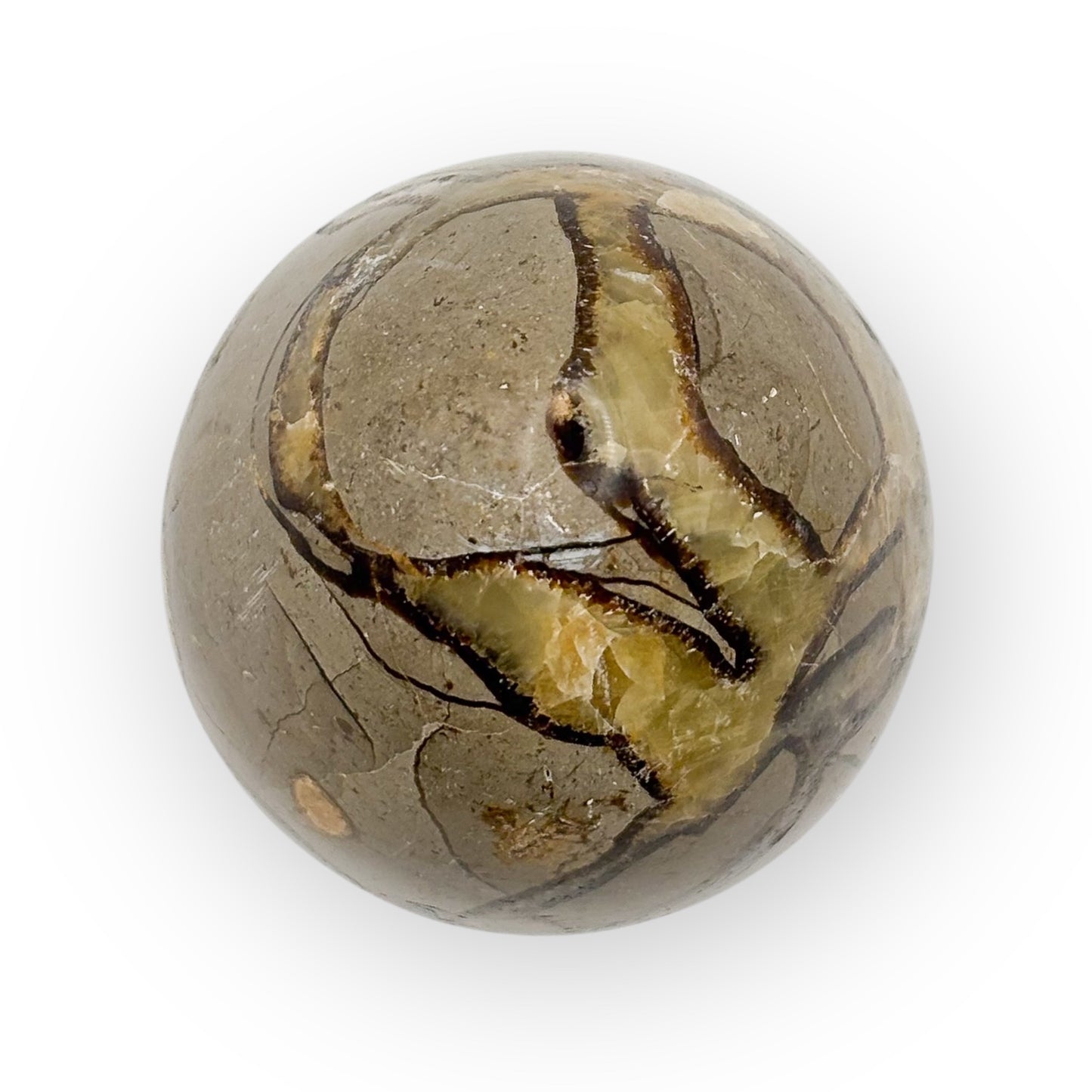 Septarian Egg Large