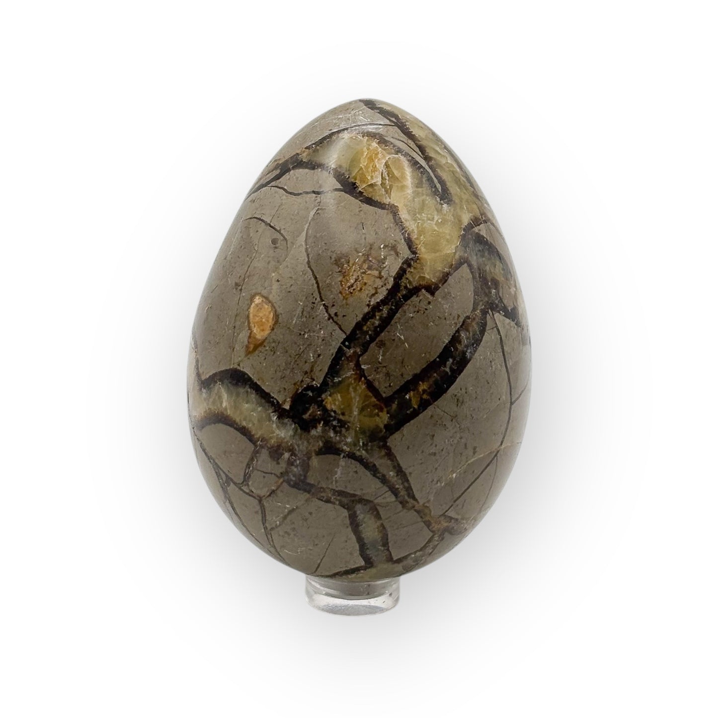 Septarian Egg (Large) – Natural Polished Stone for Grounding, Confidence & Protection