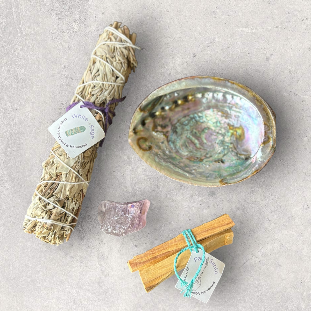 Abalone Shell from Mexico – Natural Smudge Bowl for Sage & Cleansing