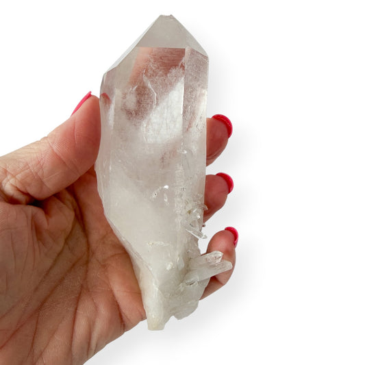 Clear quartz point in hand with a needle quartz base. Showing size and details (including chipped point).