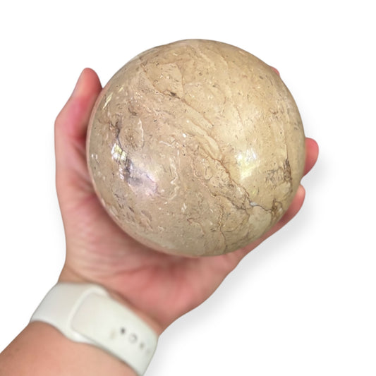 Hand holding 3.2 lb beige marble sphere to show size