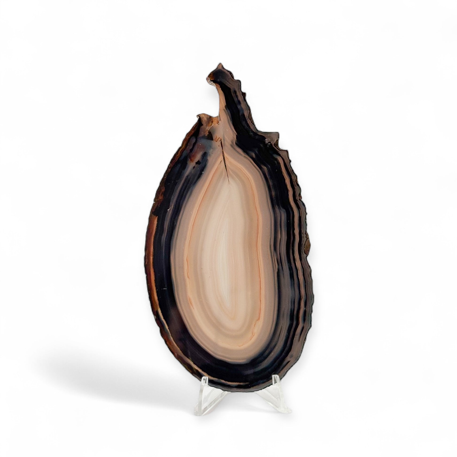 Front view of blue oblong agate slice with natural banding