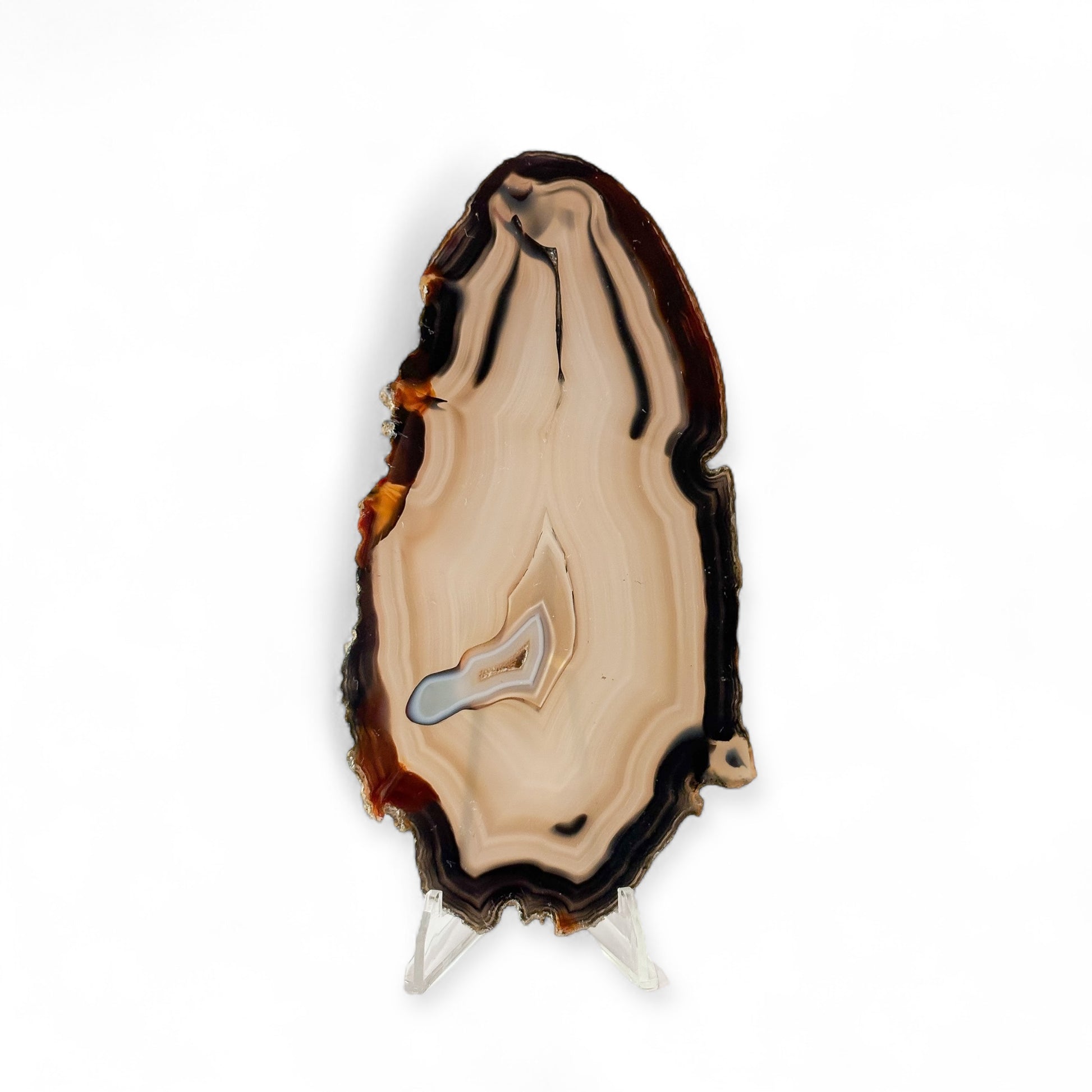 Front view of blue agate slice with small drusy accent