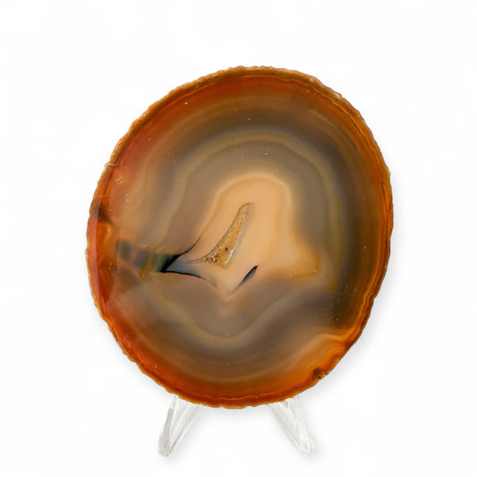 Agate slice with brown outer edge and blue-gray bands featuring small druzy center