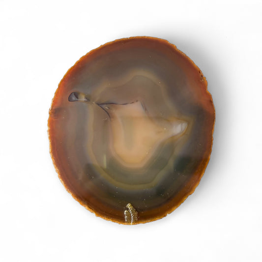 Side view of agate slice showing layered earth tones and soft inner rings