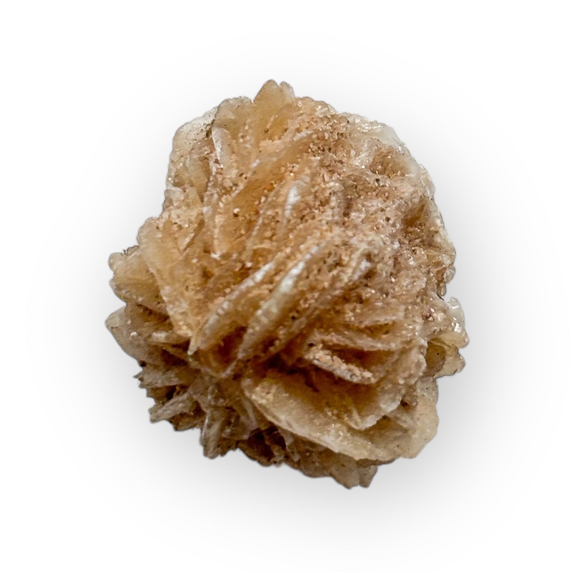 Close-up of Desert Rose Selenite’s natural petal-like crystal structure