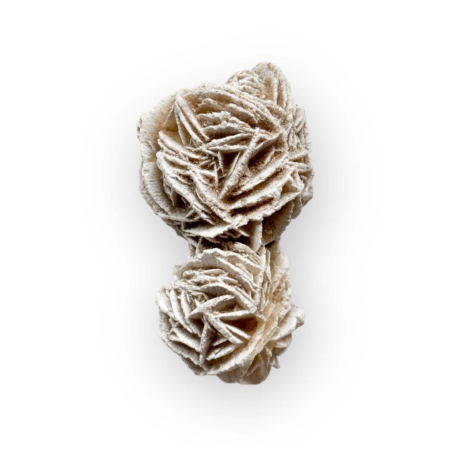 Side angle of Desert Rose Selenite showing soft beige and pink tones