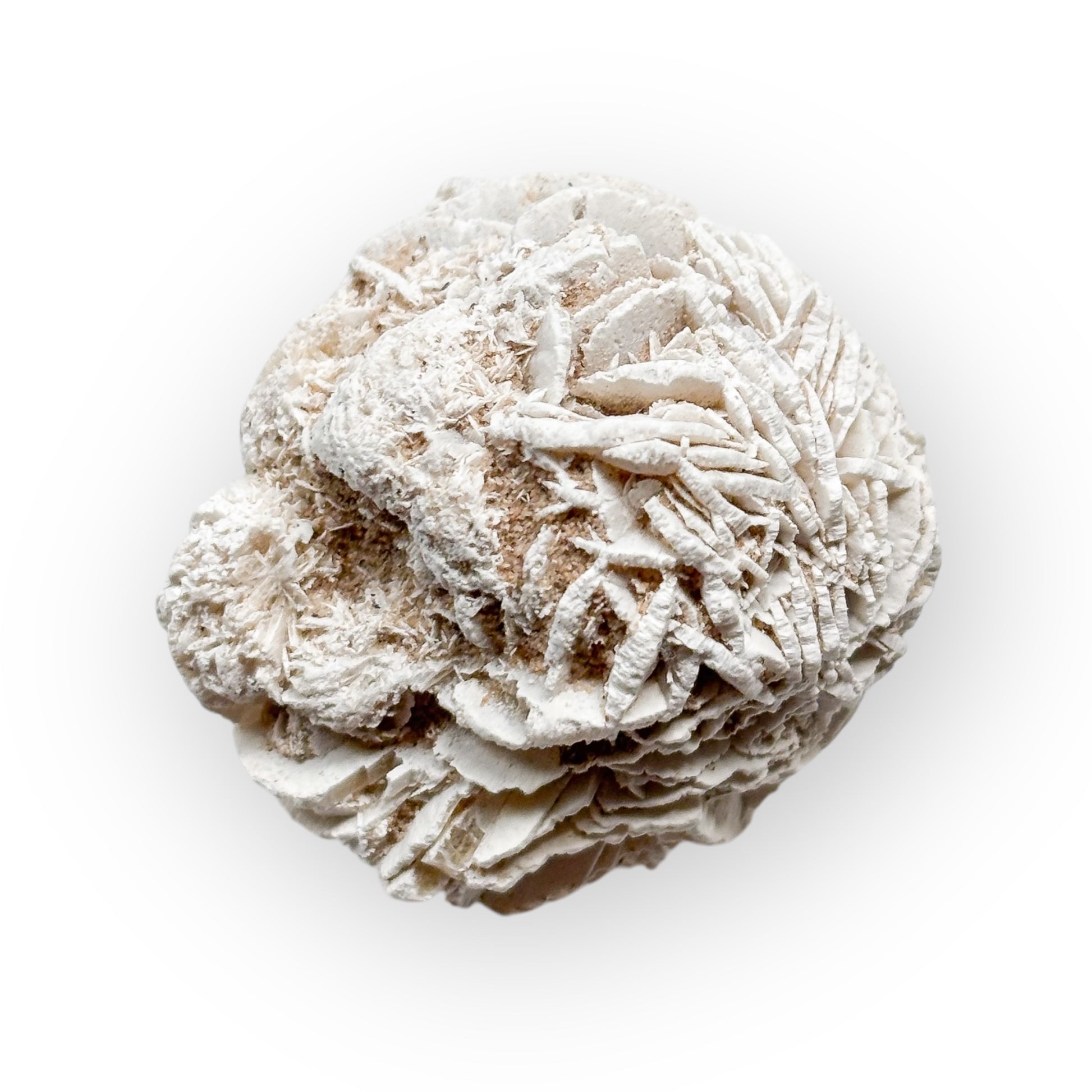 Close-up of Desert Rose Selenite’s natural petal-like crystal structure