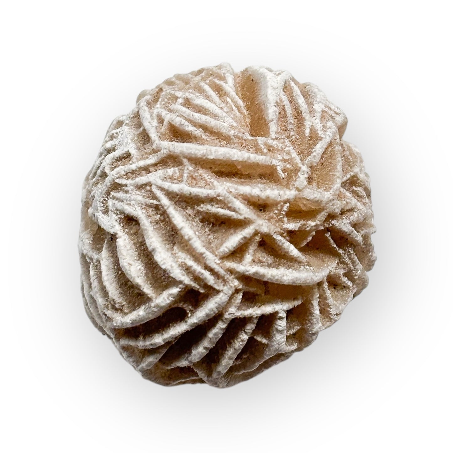 Front view of Desert Rose Selenite crystal with layered rosette shape