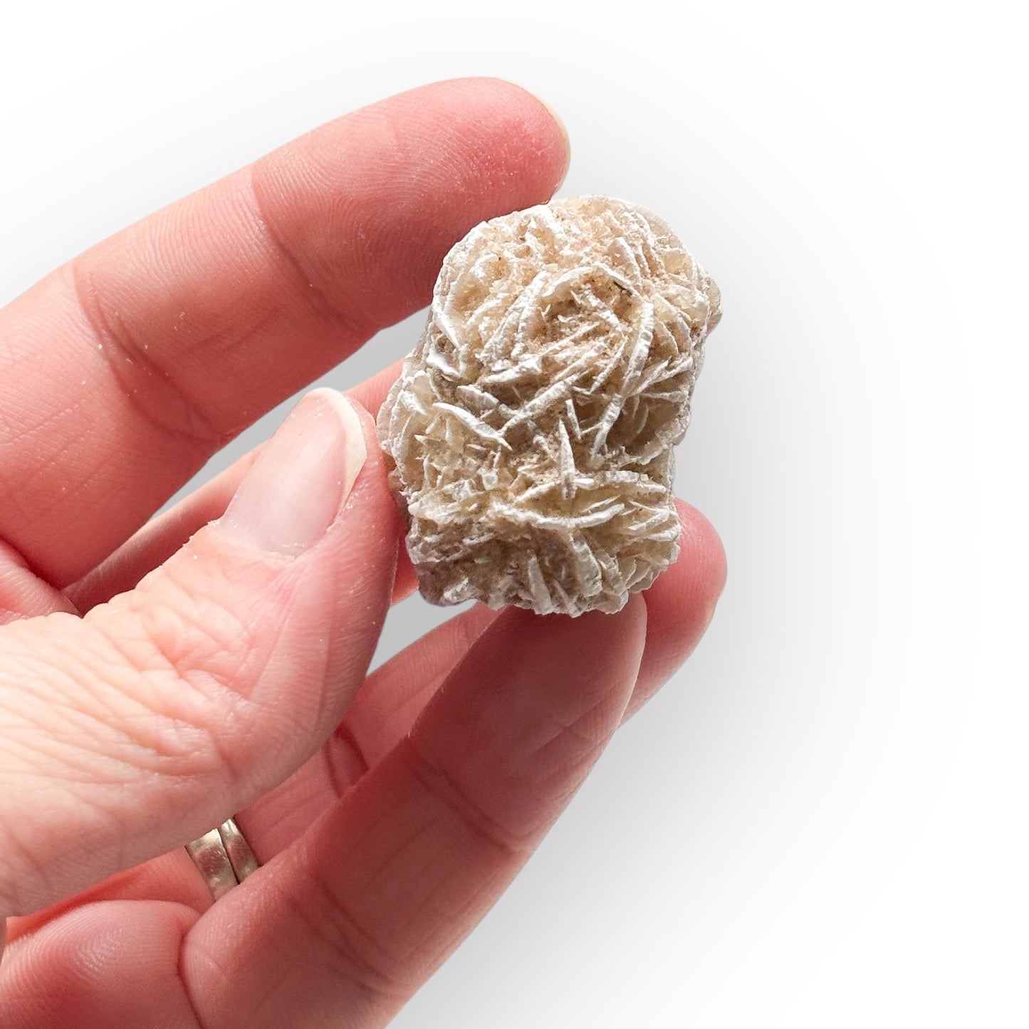 Hand holding Desert Rose Selenite crystal for scale reference