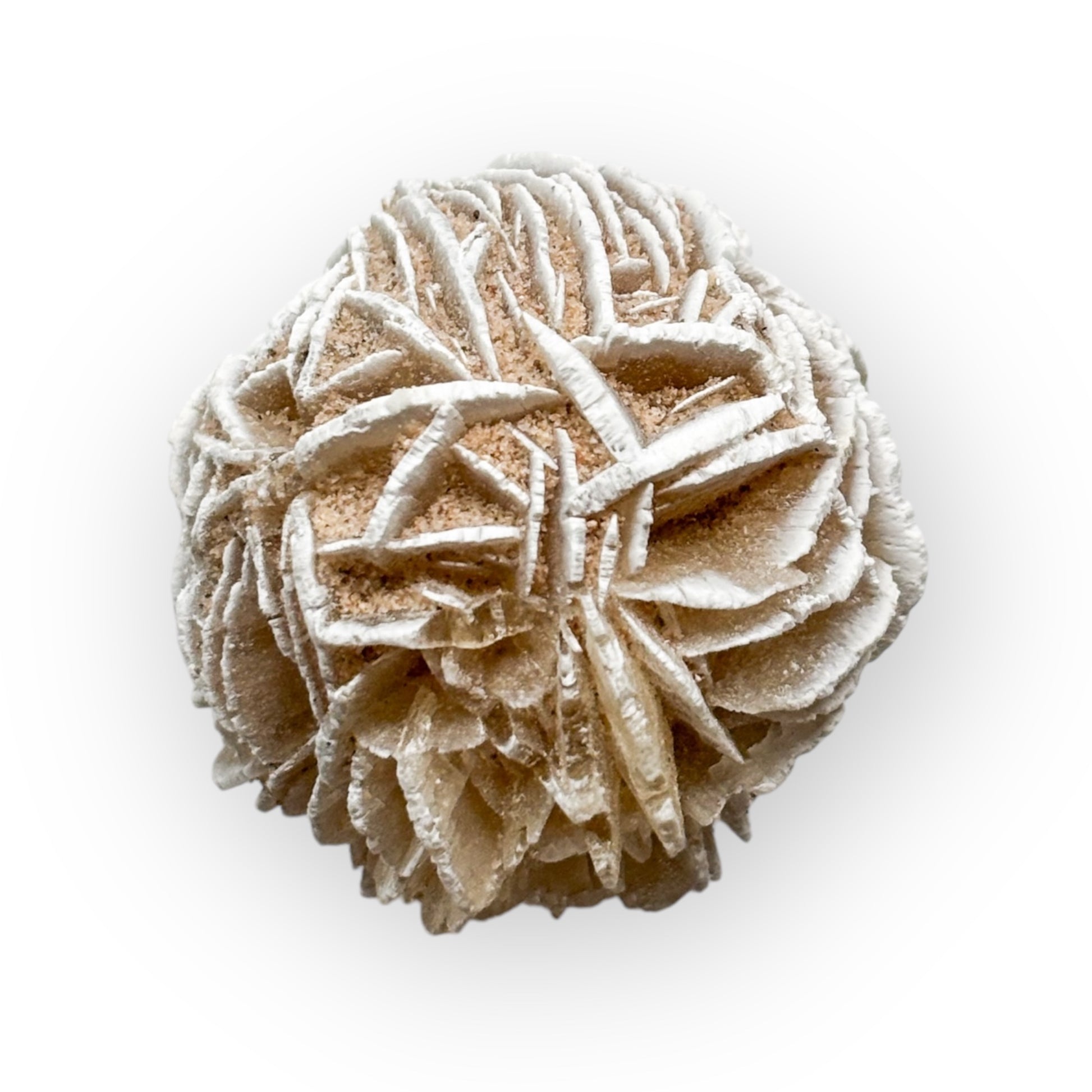 Side angle of Desert Rose Selenite showing soft beige and pink tones