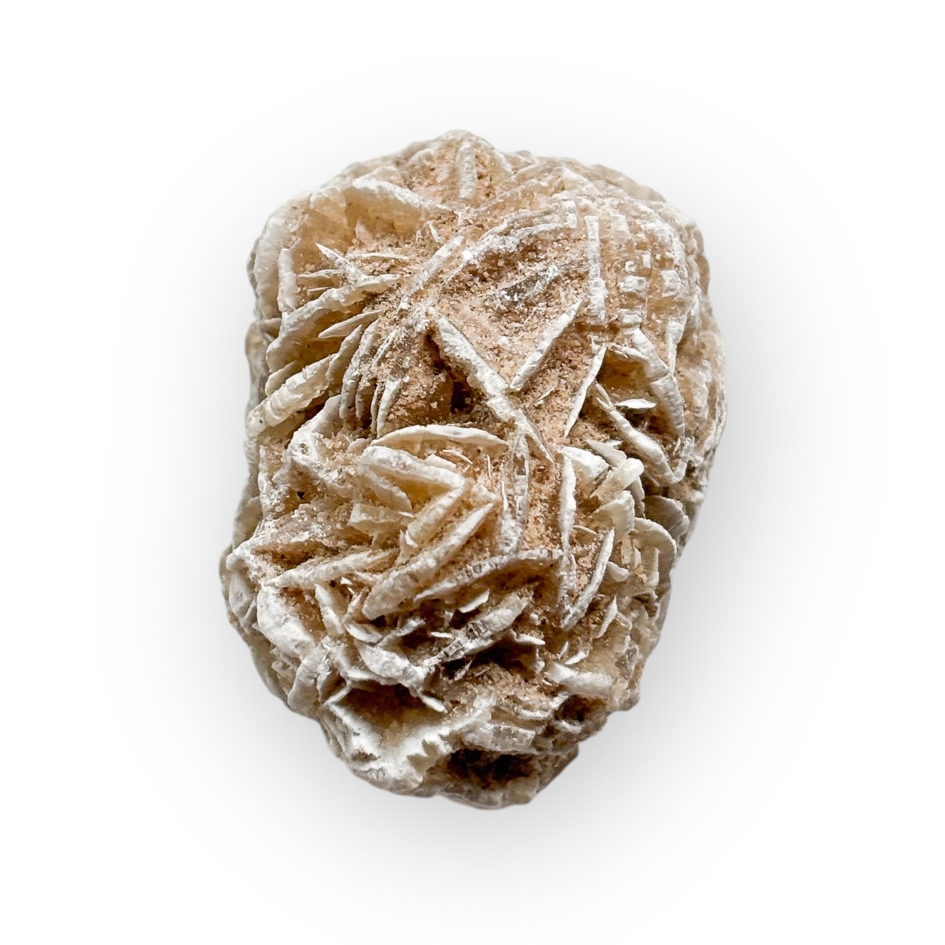 Side angle of Desert Rose Selenite showing soft beige and pink tones