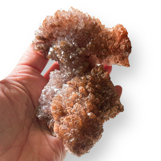 Egyptian Ametrine crystal cluster held in hand showing earthy tones with purple and golden highlights.