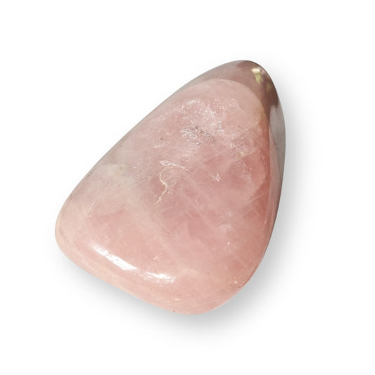 Extra large polished Rose Quartz crystal with soft pink hue and glossy surface.