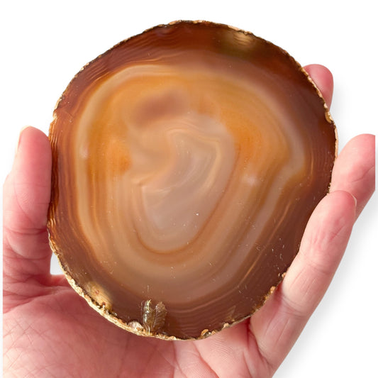 Hand holding agate slice to show size and leaf accent