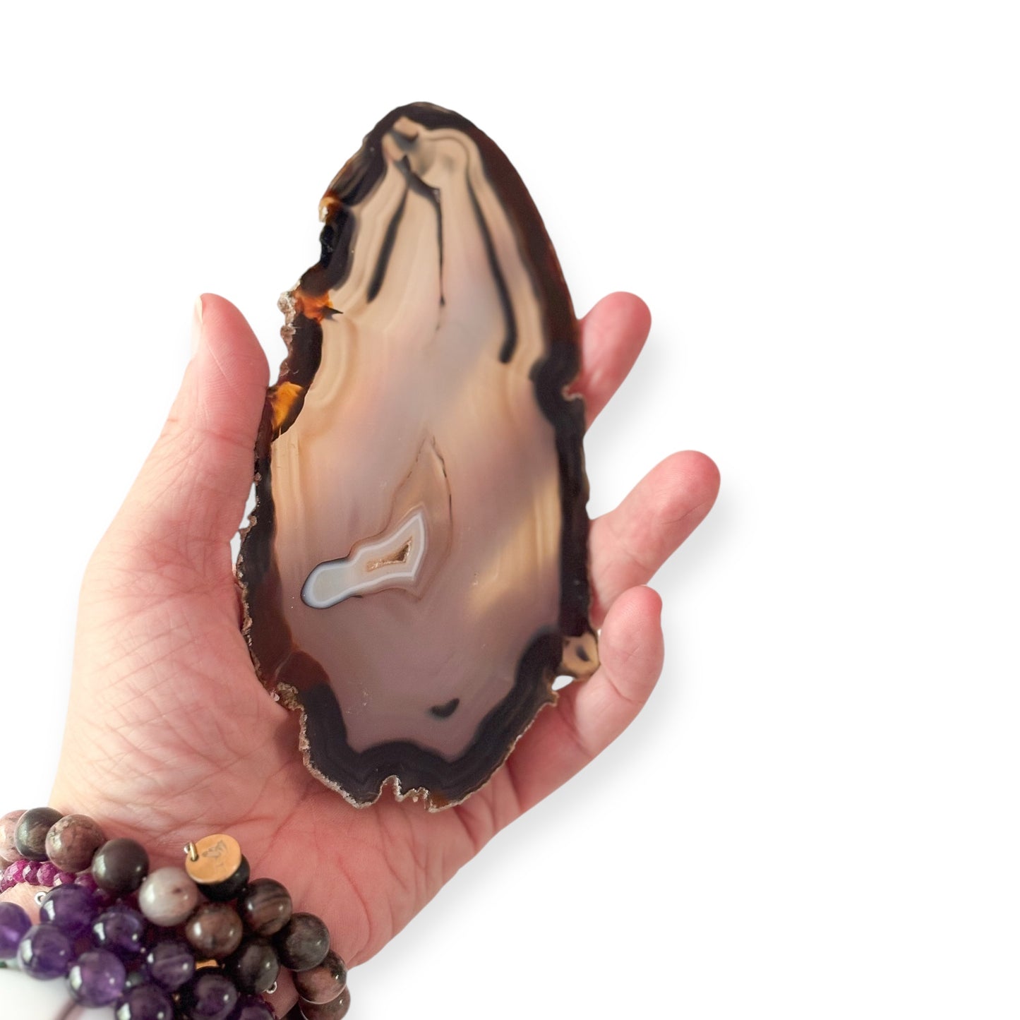 Hand holding oblong agate slice to show size and texture