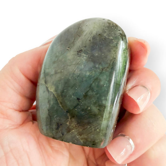 Back view of a polished Labradorite free form showing natural gray-green coloring and mineral inclusions.