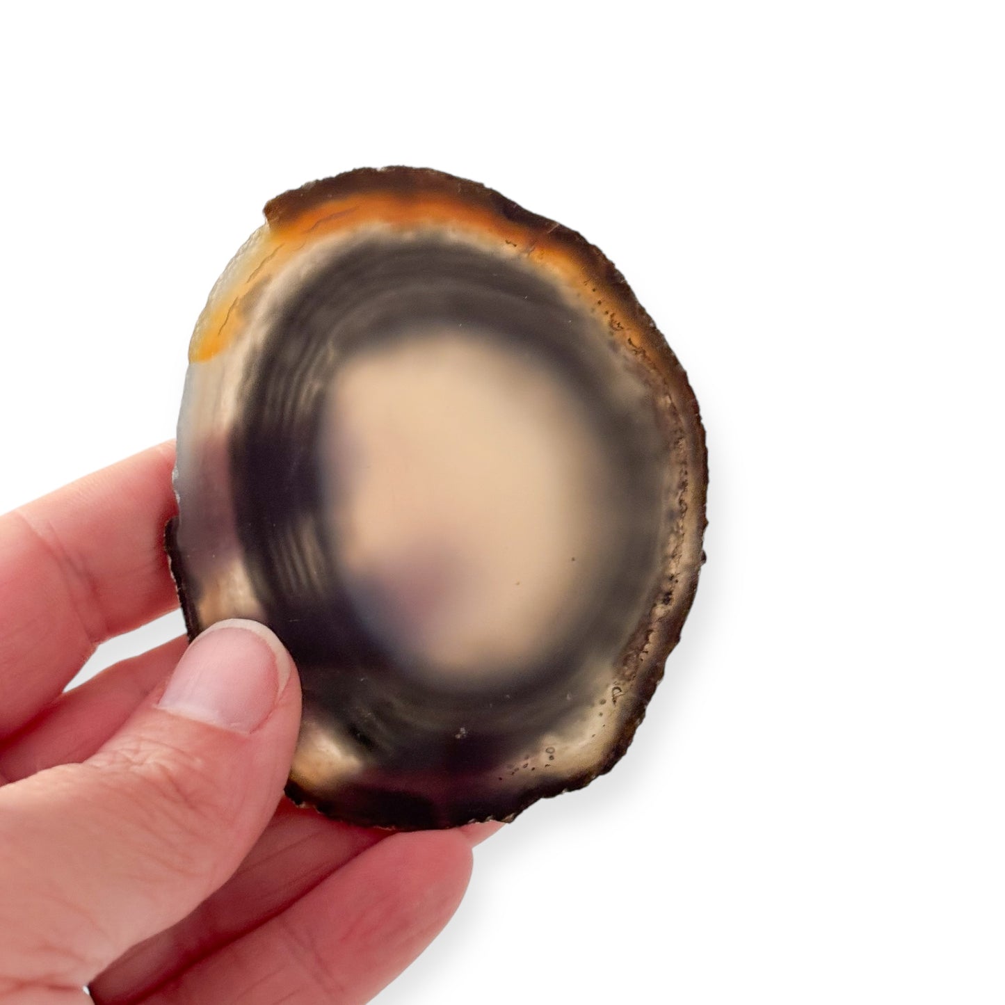 Hand holding black and gray agate slice to show thickness and detail