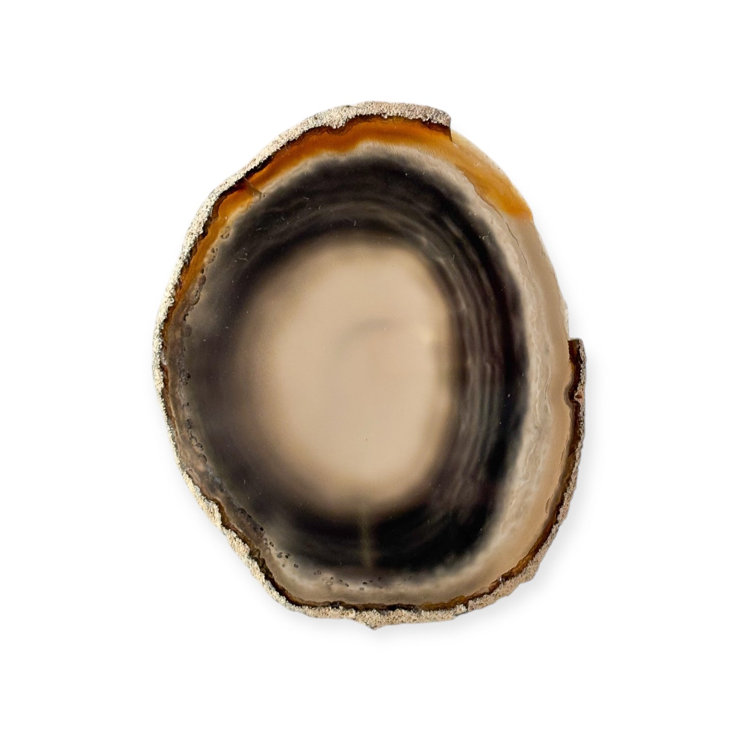 Dark-toned agate slice with smooth black and gray layers
