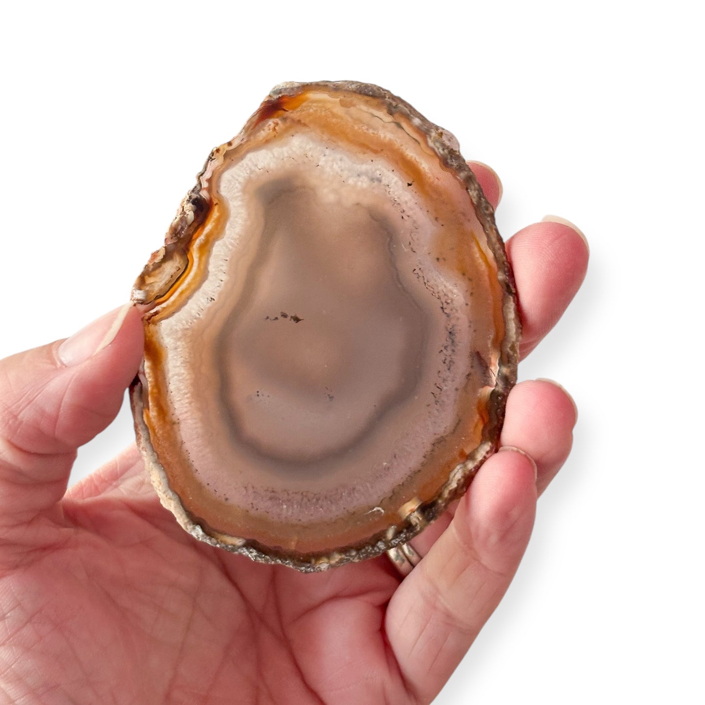Hand holding earthy-toned agate slice for size reference