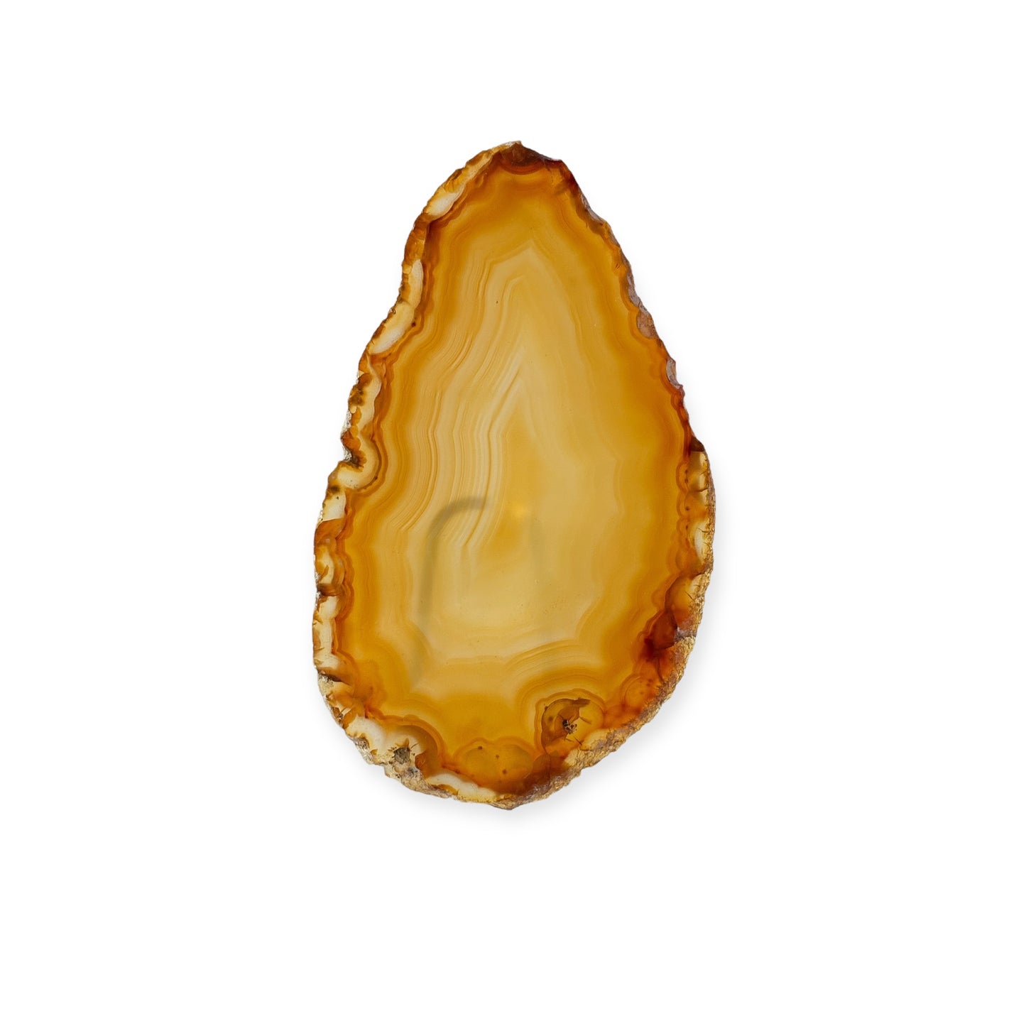 Bright yellow and orange agate slice with warm banding