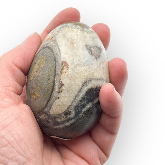 Large Orthoceras fossil egg held in hand showing fossil detail and polished limestone texture