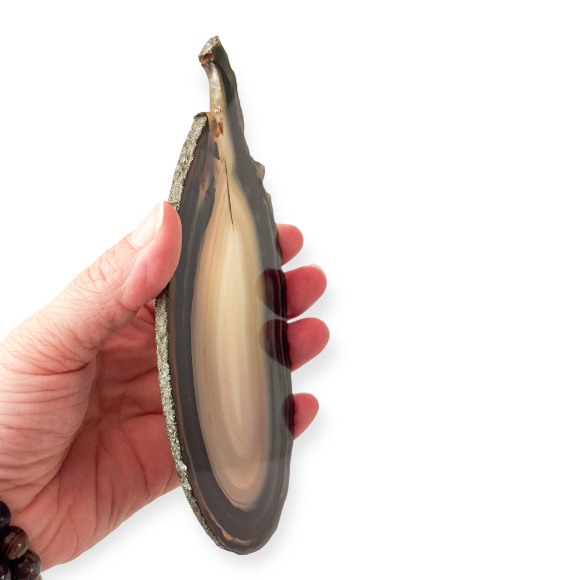 Polished blue agate slice catching natural light