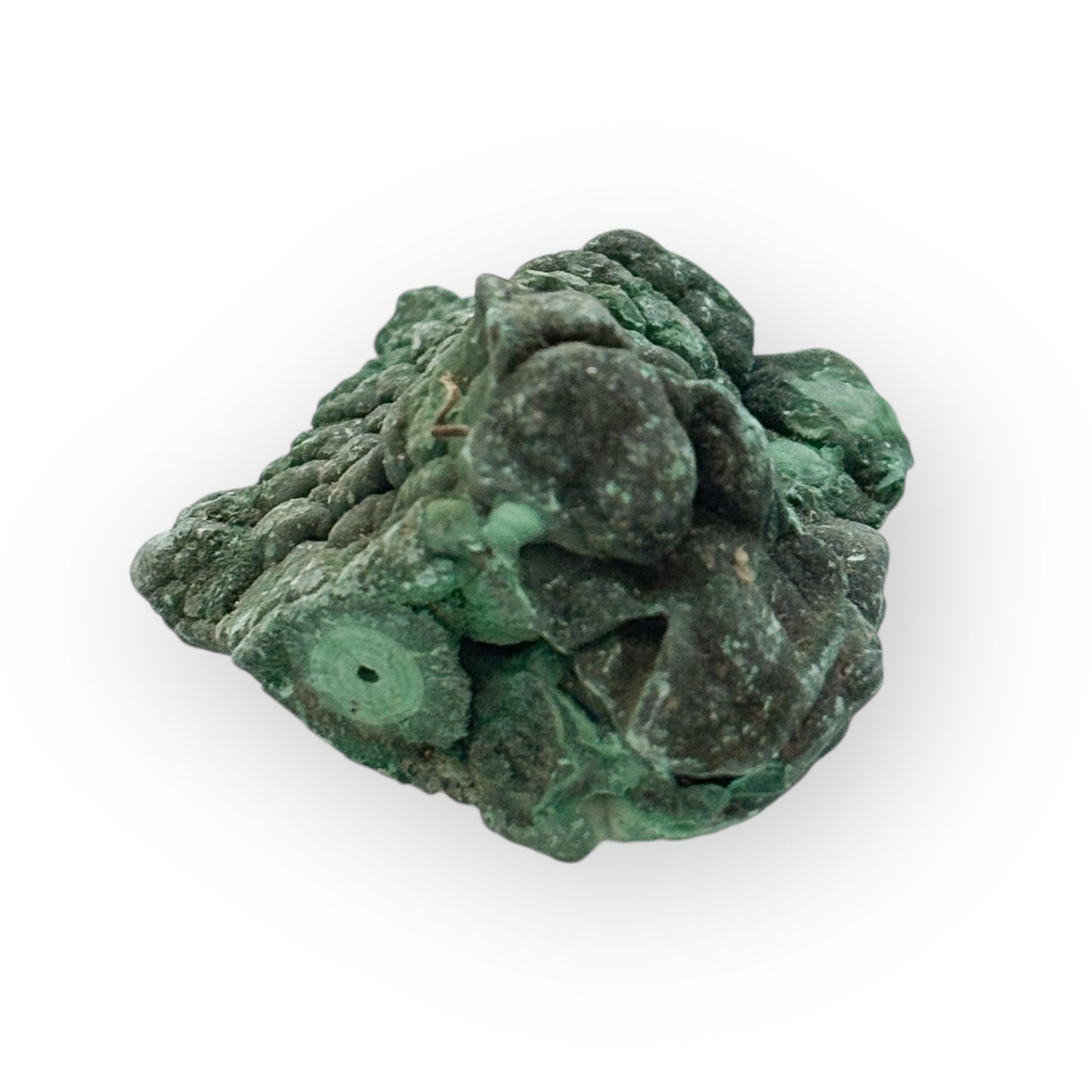 Small Rough Green Malachite crystal with botryoidal texture and vibrant color