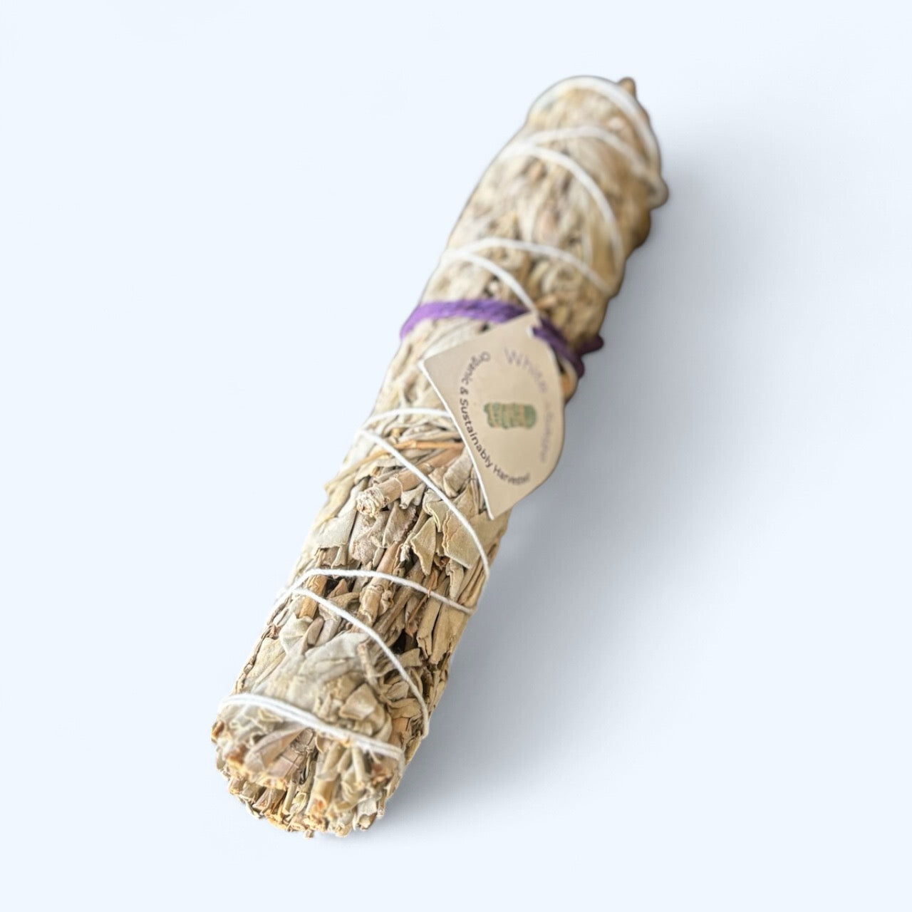Front view of sustainably harvested large sage stick, 8 inches long