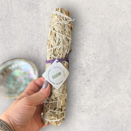 8-inch sage stick shown in hand for size reference