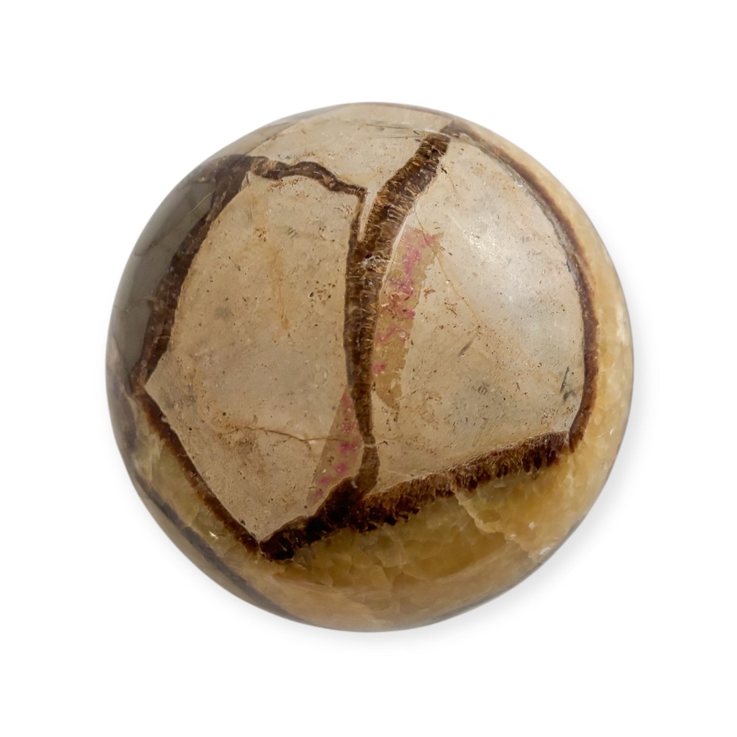 Septarian sphere with faded red permanent marker visible on polished surface