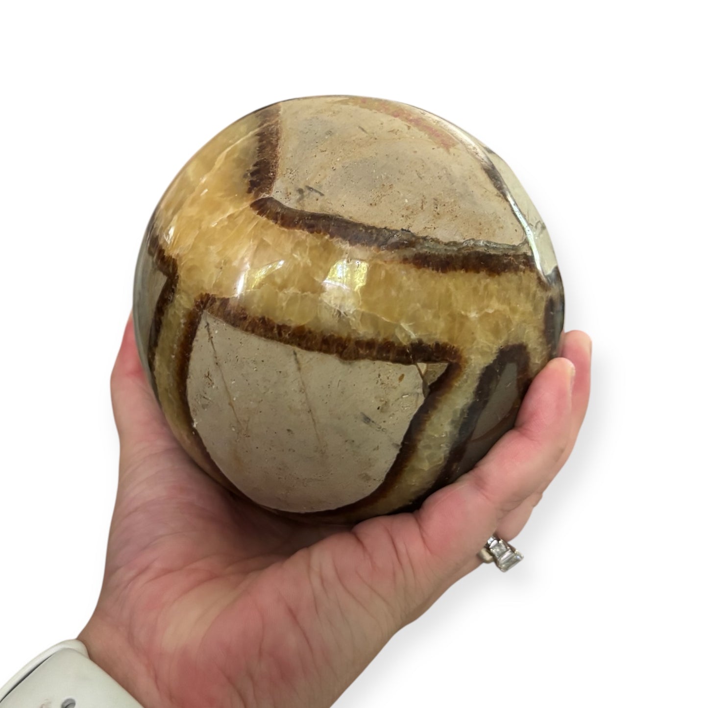 Septarian sphere held in hand for scale, showing polished finish and grounding tones
