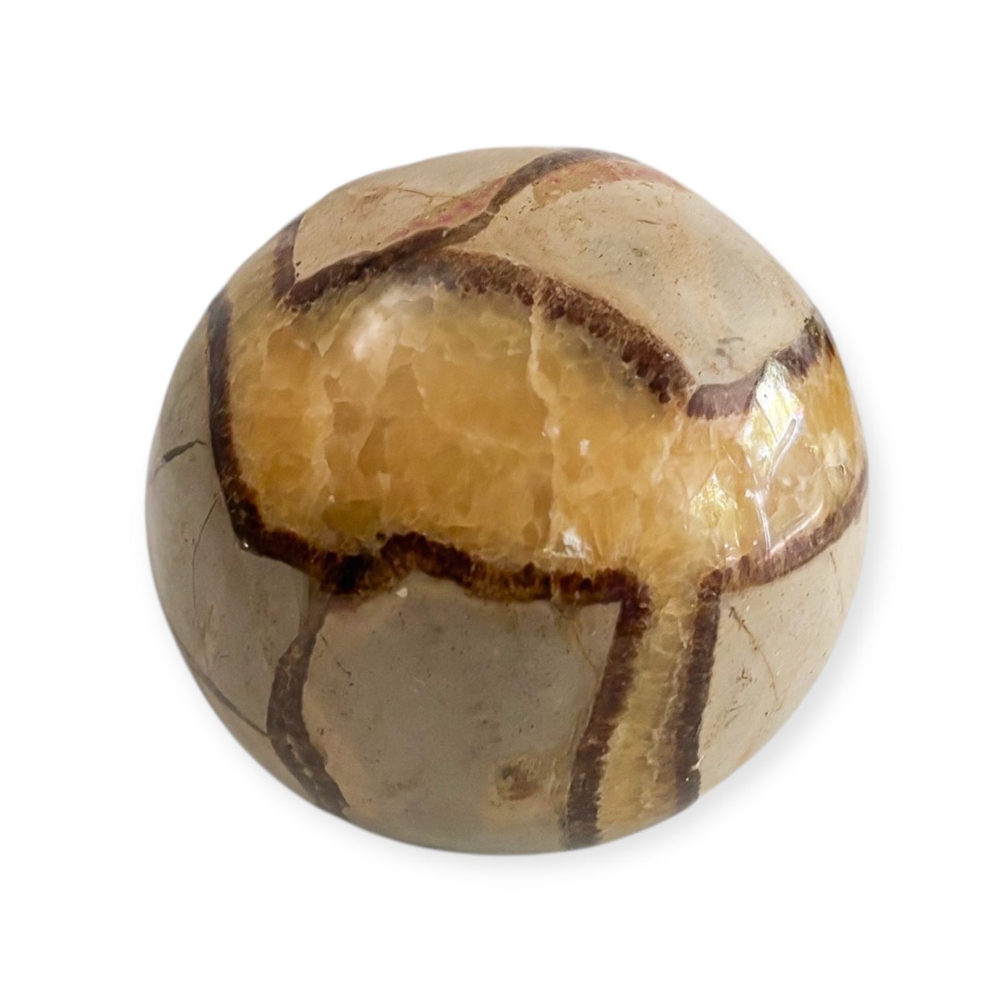 Side angle of a 6 lb Septarian sphere showing deep earthy veining and organic texture
