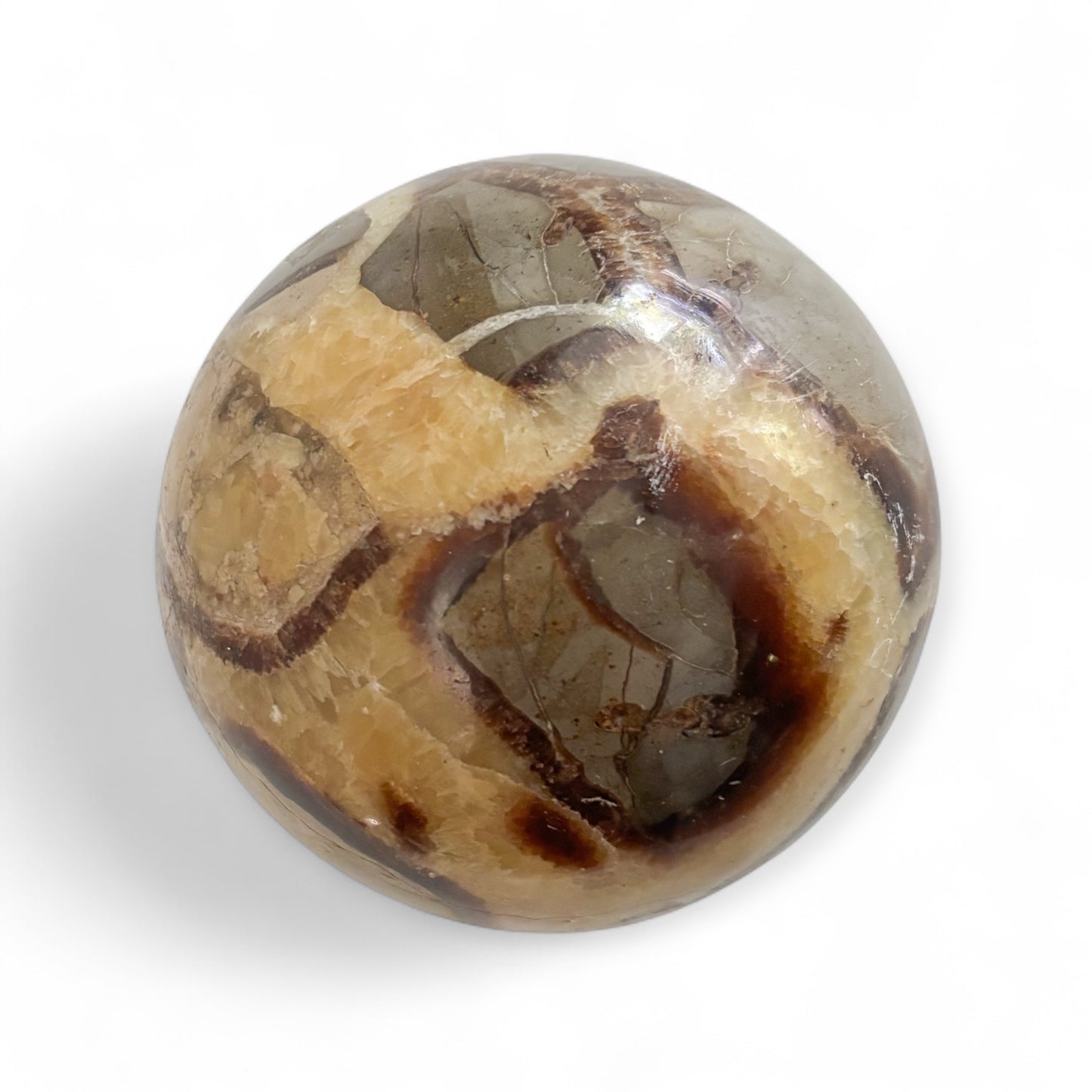 Septarian crystal sphere showing unique brown and yellow mineral patterns