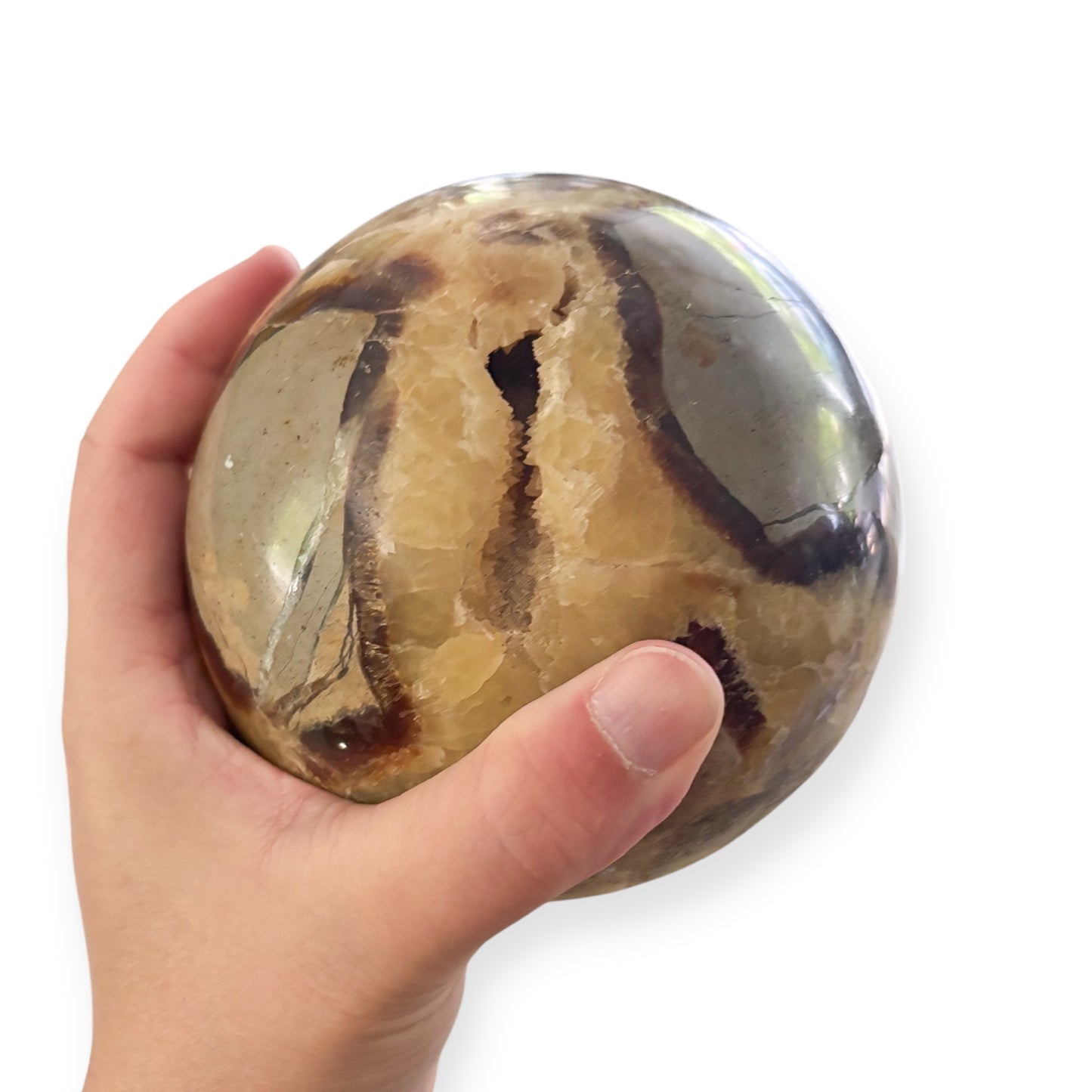 Close-up of druzy pocket on polished Septarian sphere