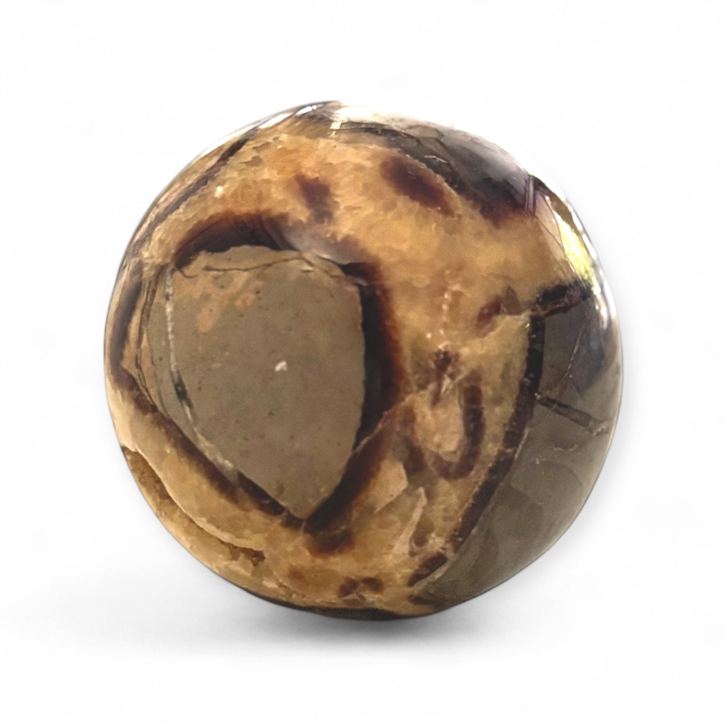 5 lb Septarian crystal sphere with golden druzy pocket front view