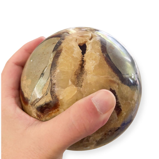 Septarian sphere with druzy shown in hand for size reference