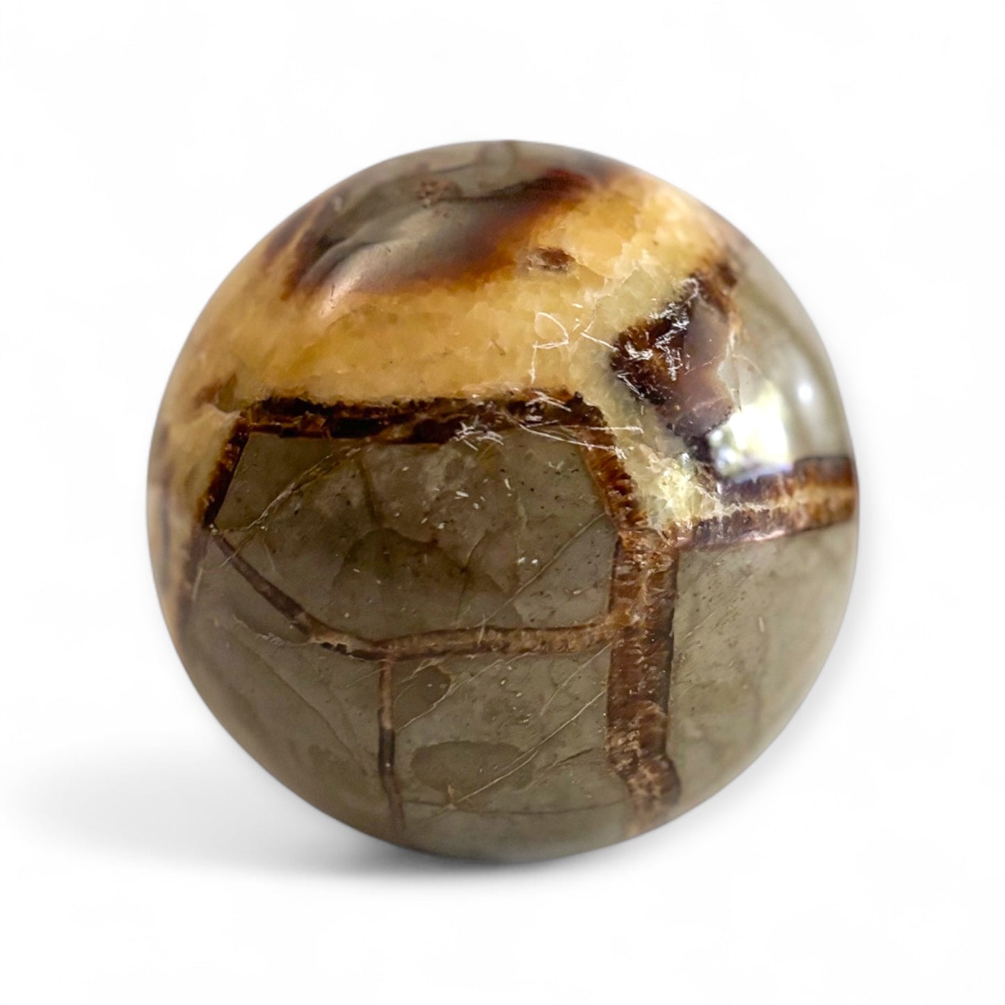 Top-down view of 5 lb Septarian sphere highlighting the druzy cavity