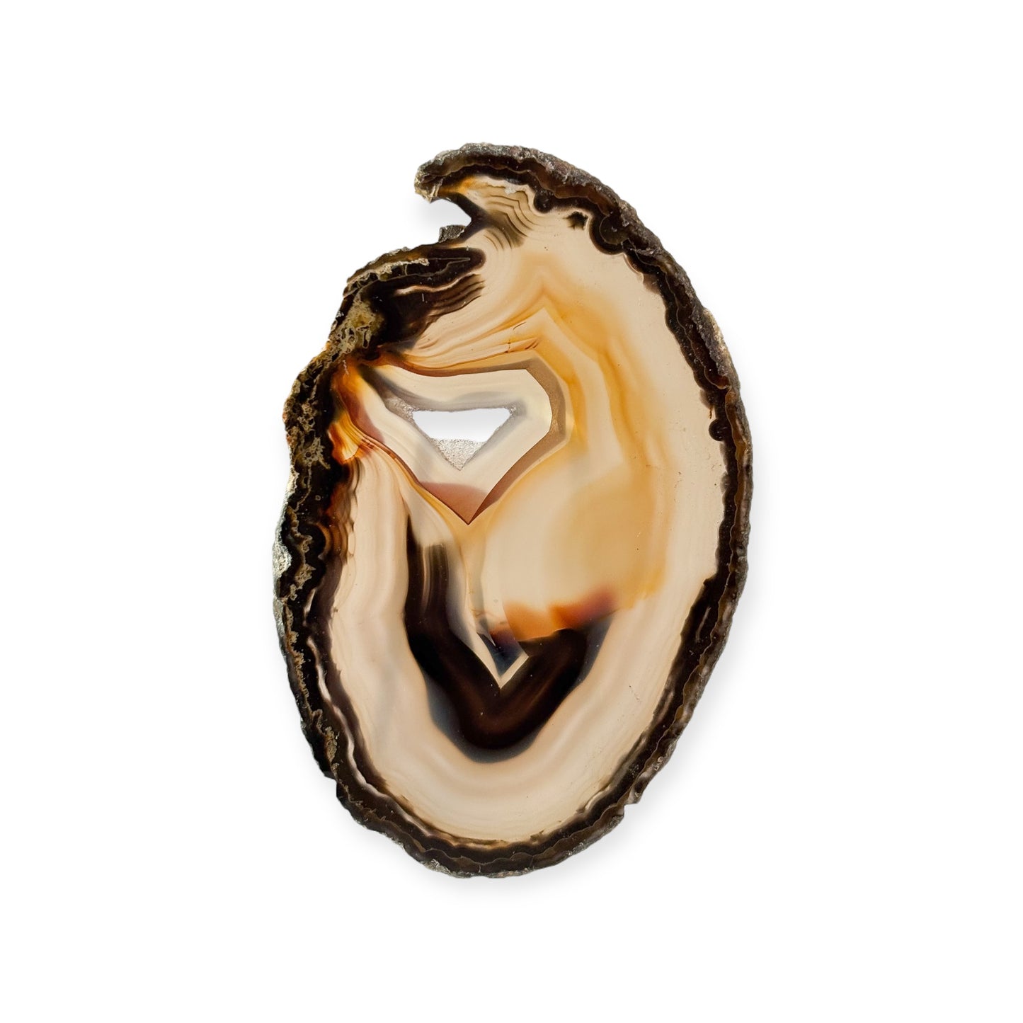 Small agate slice with bold blue and yellow layers