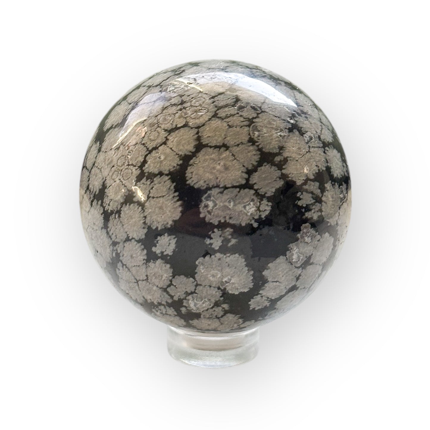 Polished Snowflake Obsidian Sphere with black base and white snowflake-like inclusions