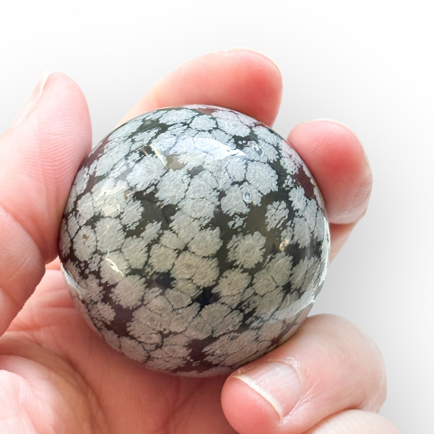 Snowflake Obsidian Sphere held in hand for size and detail