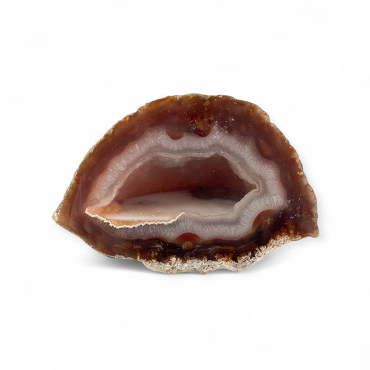 Geode crystal showing brown shell, white banding, and chalcedony center