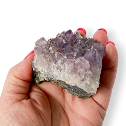 Hand holding an amethyst crystal clusterwith a white background