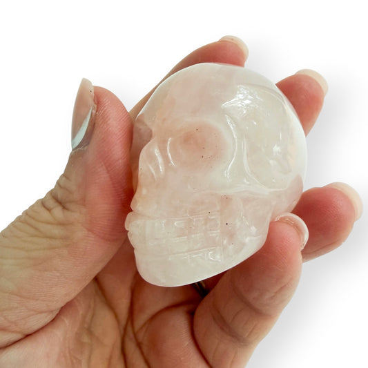A hand holding a rose, quartz hand carved skull to show detail and size.