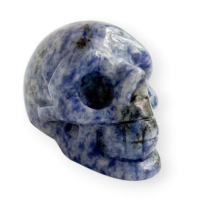 Hand carved sodalite skull with a white background.