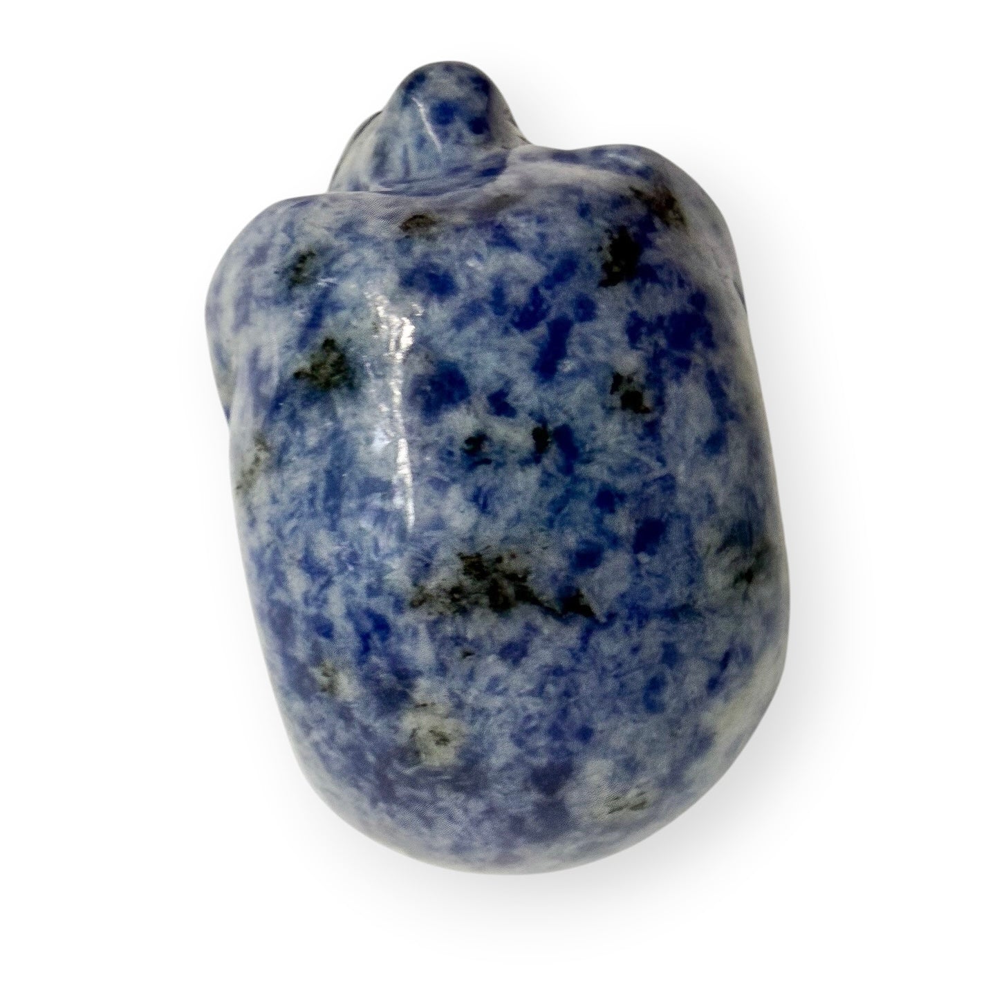 Tap view of a blue and white soda light skull with a white background.
