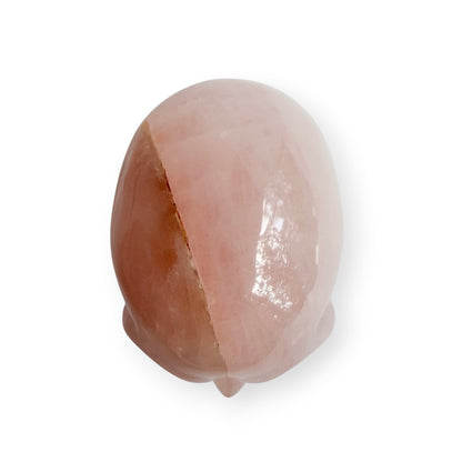 The top of a rose, quartz hand carved skull on a white background.