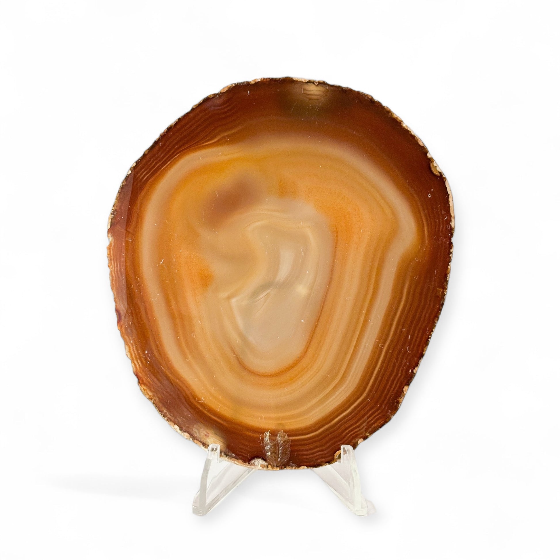 Front view of round brown and orange agate slice with leaf accent