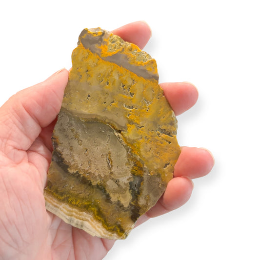 Bumblebee Jasper Slab held in hand to show size and texture.