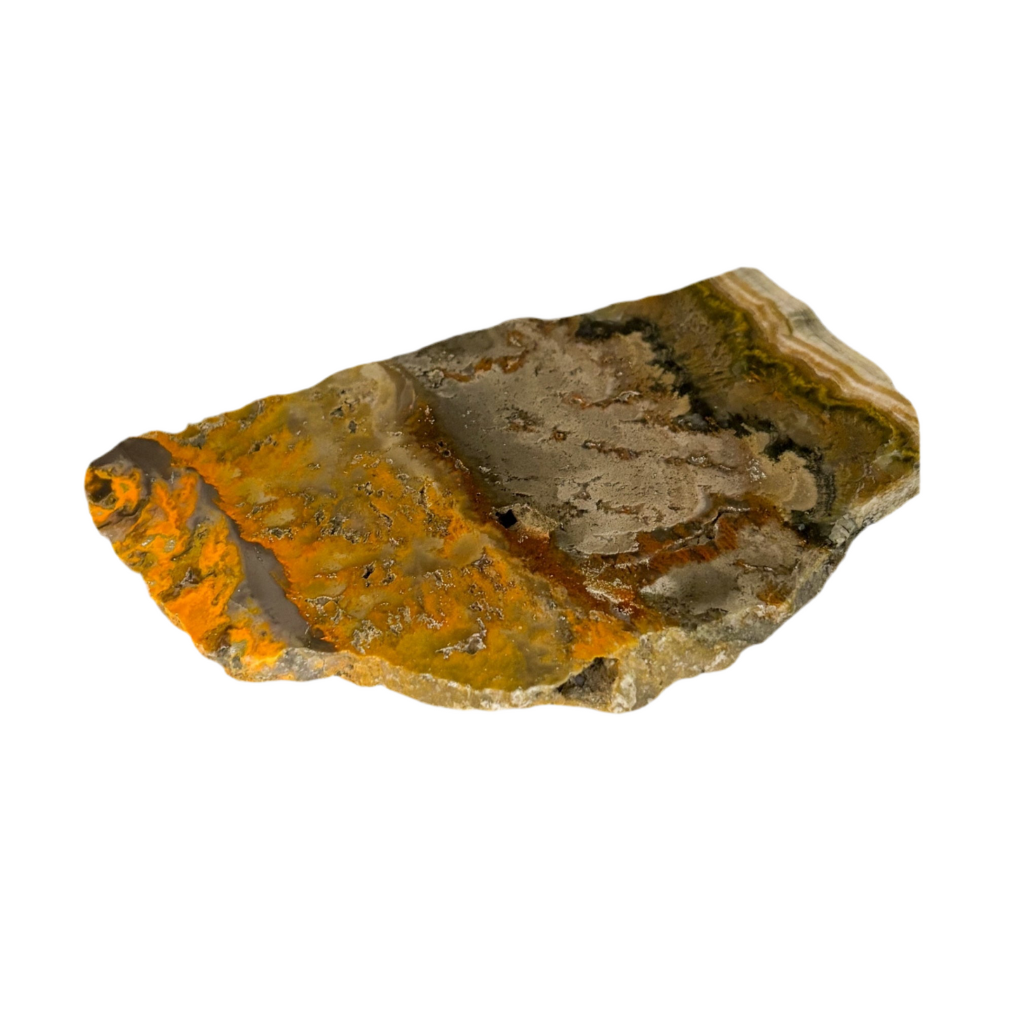 Close-up of Bumblebee Jasper crystal slab showing natural banding and color variation.